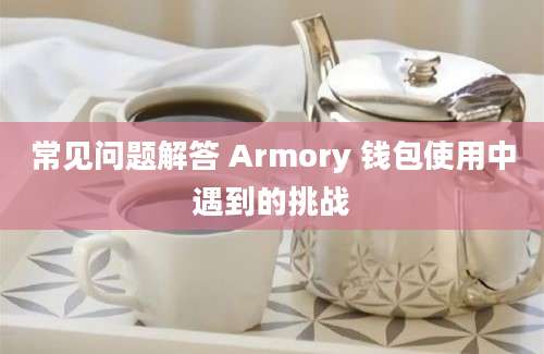 常见问题解答 Armory 钱包使用中遇到的挑战