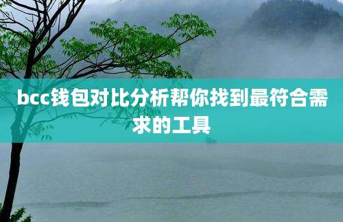 bcc钱包对比分析帮你找到最符合需求的工具