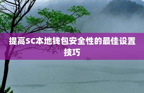 提高SC本地钱包安全性的最佳设置技巧