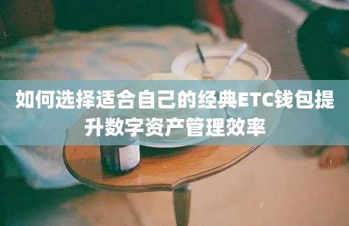 如何选择适合自己的经典ETC钱包提升数字资产管理效率