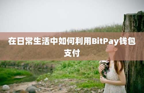 在日常生活中如何利用BitPay钱包支付