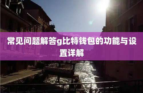 常见问题解答g比特钱包的功能与设置详解