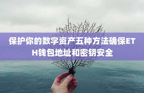 保护你的数字资产五种方法确保ETH钱包地址和密钥安全