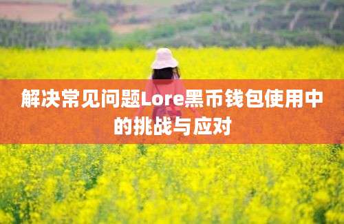 解决常见问题Lore黑币钱包使用中的挑战与应对