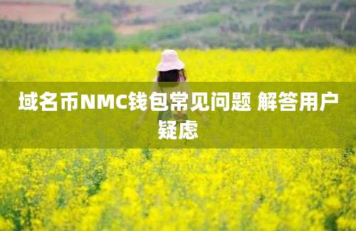 域名币NMC钱包常见问题 解答用户疑虑