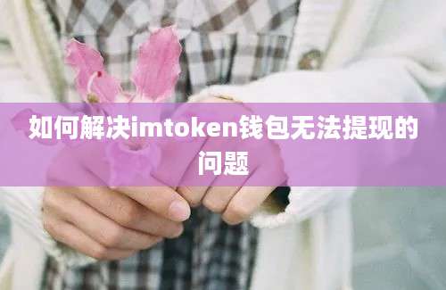 如何解决imtoken钱包无法提现的问题