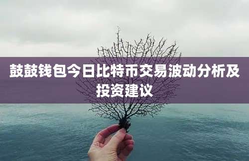 鼓鼓钱包今日比特币交易波动分析及投资建议