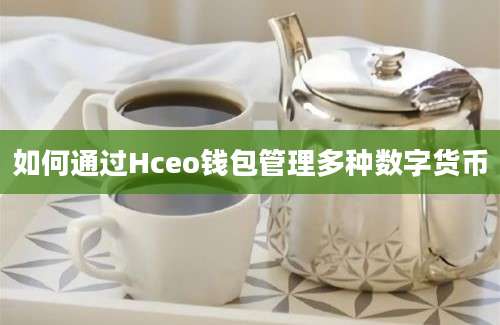 如何通过Hceo钱包管理多种数字货币