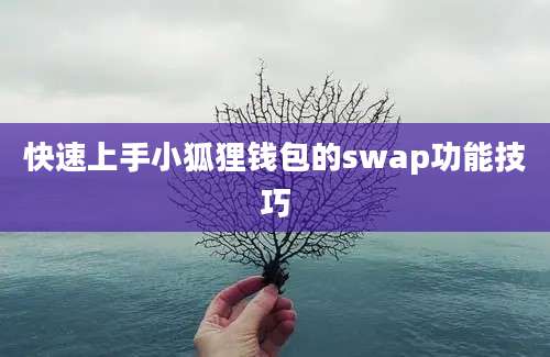 快速上手小狐狸钱包的swap功能技巧