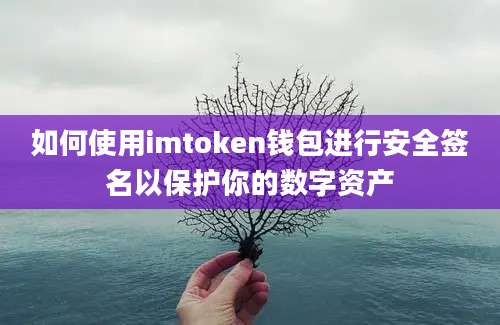 如何使用imtoken钱包进行安全签名以保护你的数字资产