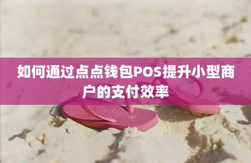 如何通过点点钱包POS提升小型商户的支付效率