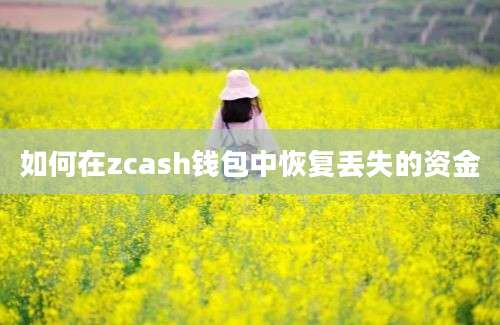 如何在zcash钱包中恢复丢失的资金