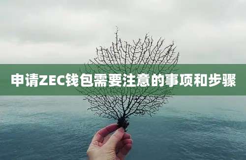 申请ZEC钱包需要注意的事项和步骤