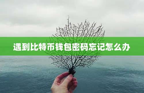 遇到比特币钱包密码忘记怎么办