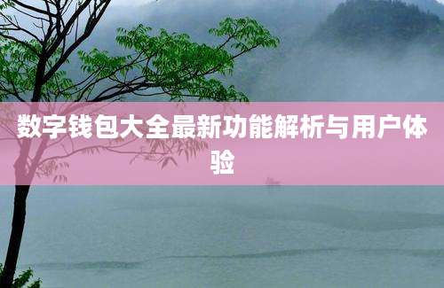 数字钱包大全最新功能解析与用户体验