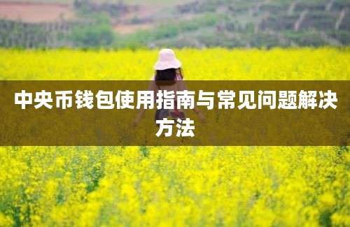 中央币钱包使用指南与常见问题解决方法