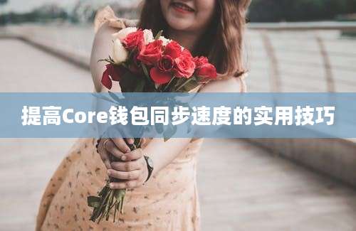 提高Core钱包同步速度的实用技巧