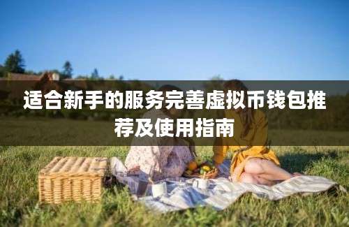 适合新手的服务完善虚拟币钱包推荐及使用指南