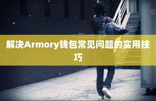 解决Armory钱包常见问题的实用技巧