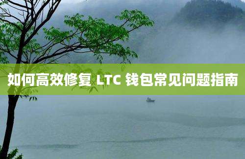 如何高效修复 LTC 钱包常见问题指南