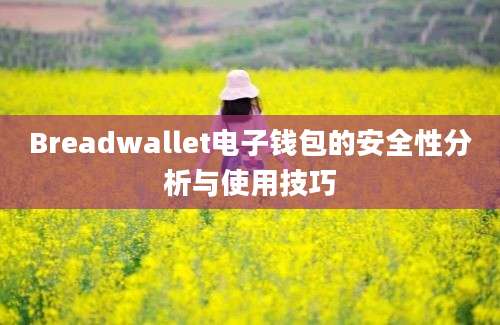 Breadwallet电子钱包的安全性分析与使用技巧