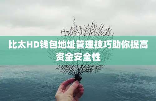 比太HD钱包地址管理技巧助你提高资金安全性