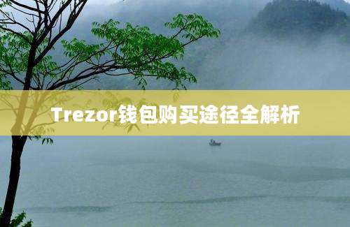 Trezor钱包购买途径全解析