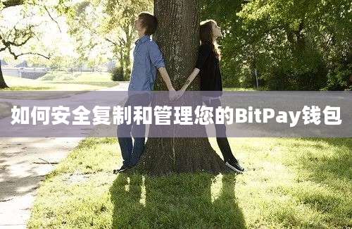 如何安全复制和管理您的BitPay钱包