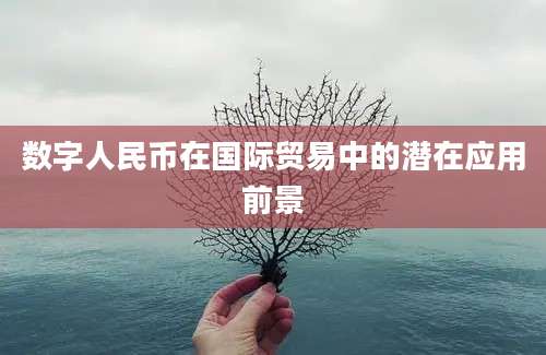 数字人民币在国际贸易中的潜在应用前景