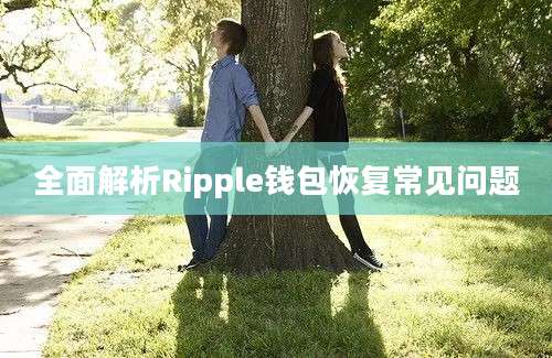 全面解析Ripple钱包恢复常见问题