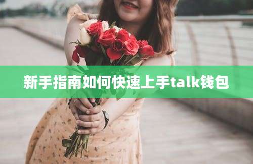 新手指南如何快速上手talk钱包