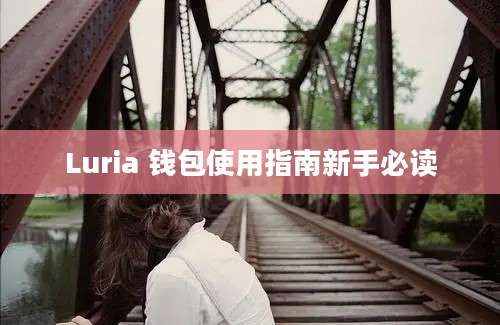 Luria 钱包使用指南新手必读