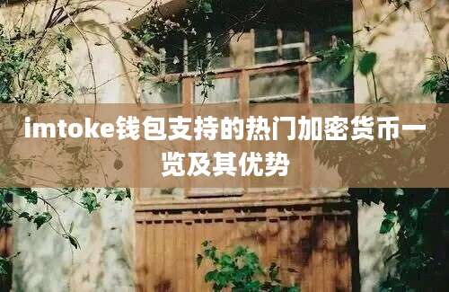 imtoke钱包支持的热门加密货币一览及其优势