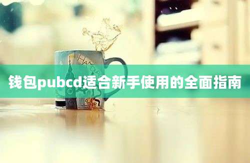 钱包pubcd适合新手使用的全面指南