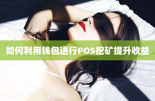 如何利用钱包进行POS挖矿提升收益