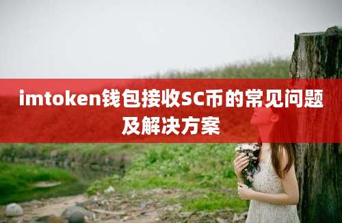 imtoken钱包接收SC币的常见问题及解决方案