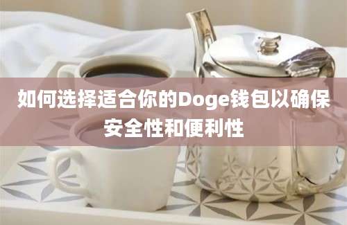 如何选择适合你的Doge钱包以确保安全性和便利性