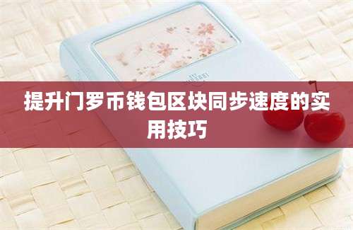 提升门罗币钱包区块同步速度的实用技巧