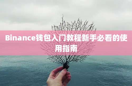 Binance钱包入门教程新手必看的使用指南