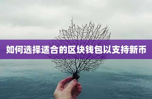 如何选择适合的区块钱包以支持新币