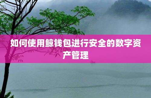 如何使用鲸钱包进行安全的数字资产管理