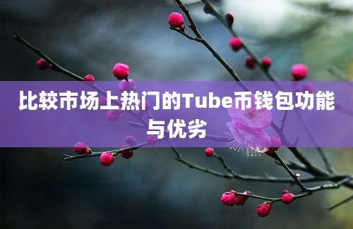 比较市场上热门的Tube币钱包功能与优劣