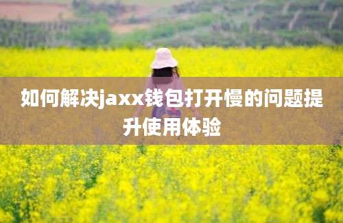 如何解决jaxx钱包打开慢的问题提升使用体验