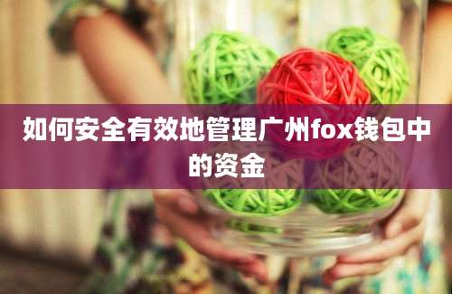 如何安全有效地管理广州fox钱包中的资金