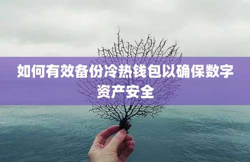 如何有效备份冷热钱包以确保数字资产安全