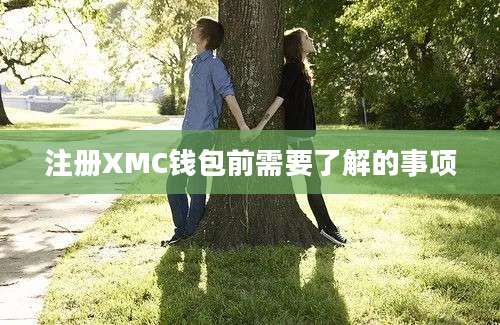 注册XMC钱包前需要了解的事项