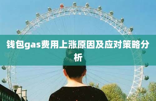 钱包gas费用上涨原因及应对策略分析