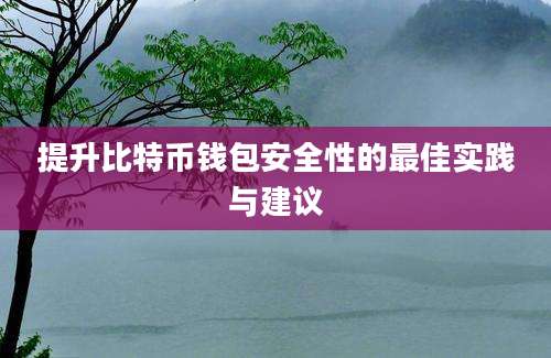 提升比特币钱包安全性的最佳实践与建议