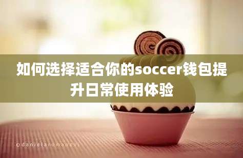 如何选择适合你的soccer钱包提升日常使用体验