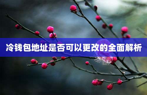 冷钱包地址是否可以更改的全面解析